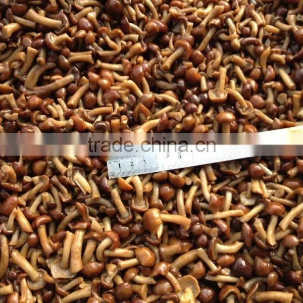 Nameko in Brine photo-2