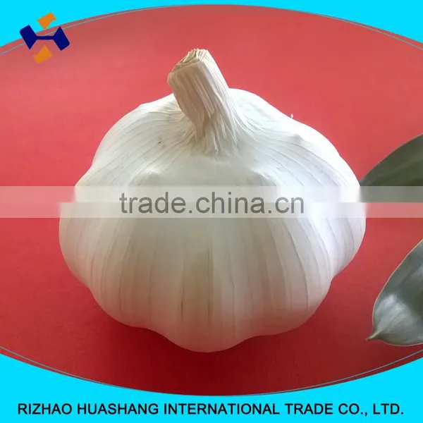 2016 China White Garlic 4.0 Price