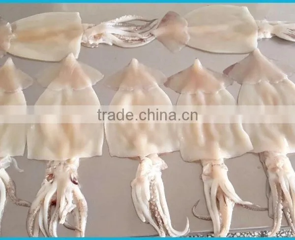 Full Automatic Peeling Machine of Squid Plate Skin Peeling Removing Machine photo-3