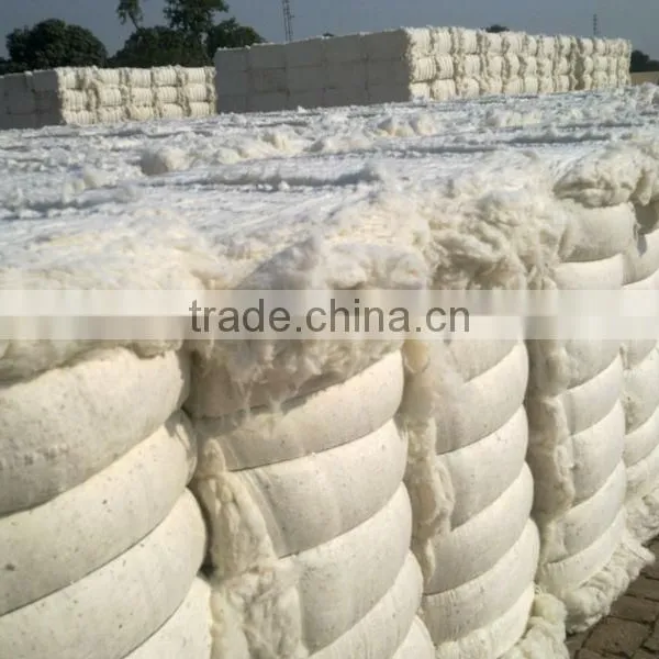 Raw Cotton photo-2