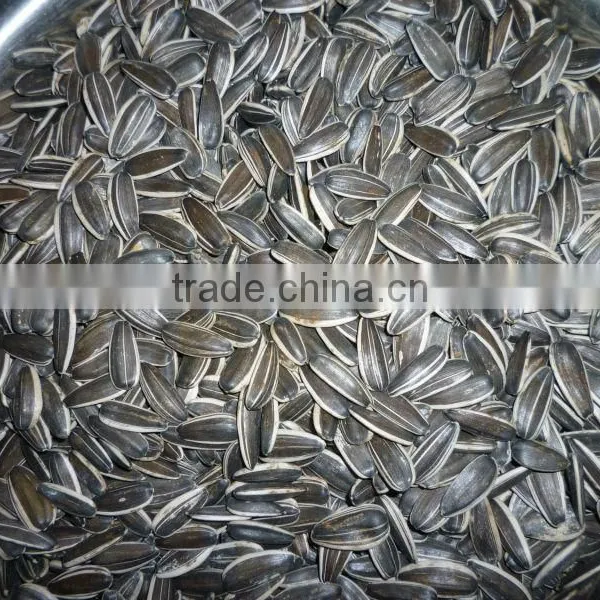 Different Types of Sunflower Seeds photo-4