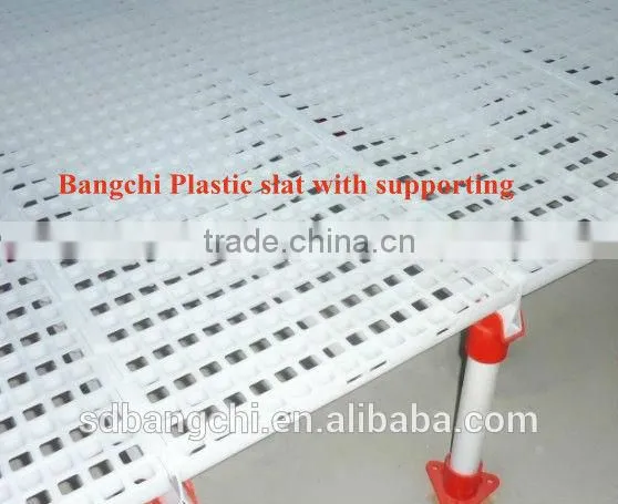 Bang Chi Series Chicken Plastic Flooring