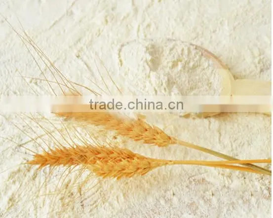 Vital Wheat Gluten