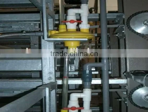 China Sell Automatic Quail Cages and Equipment photo-2