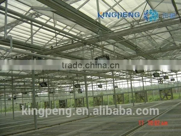 Large Size Multi Span Glass Greenhouse photo-2