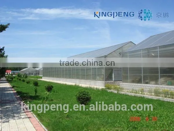 Multi Span PC Sheet Greenhouse photo-2