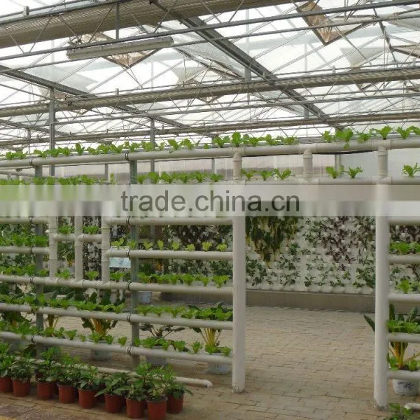 Easily Assembled Polycarbonate Pc Sheet Greenhouse For Agriculture photo-2