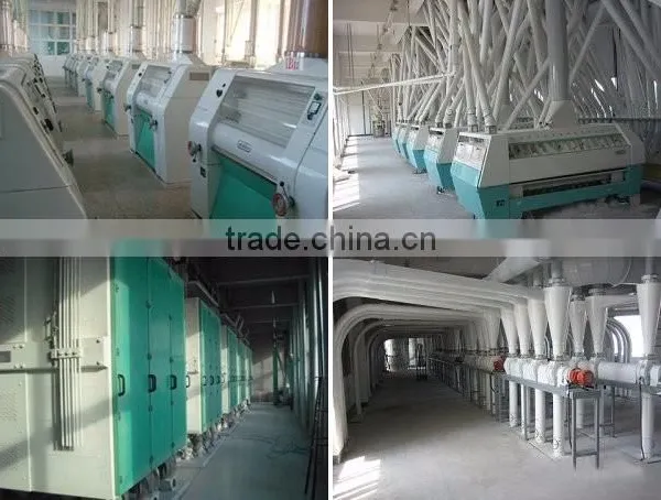 Wheat Flour Sifter Sieving Filter Machine for Grain Flour Plant photo-3