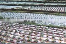 Agriculture Plastic Film With UV photo-2