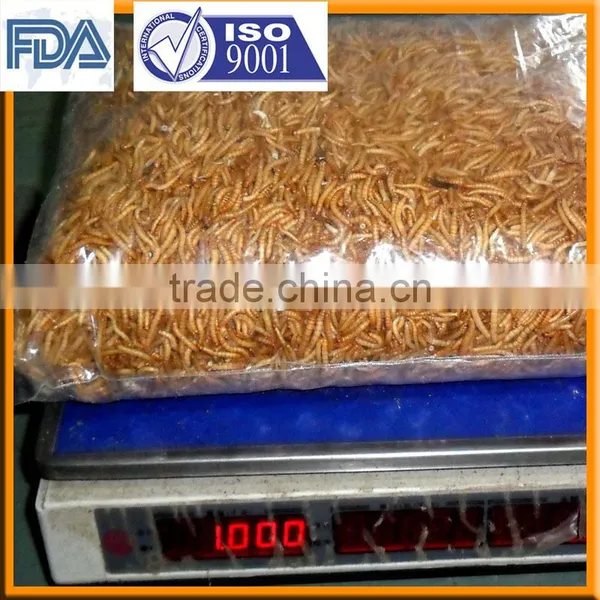 Cat Food Freeze 2.5--2.8 cm Dried Mealworms;Dried Mealworms For Cat photo-3