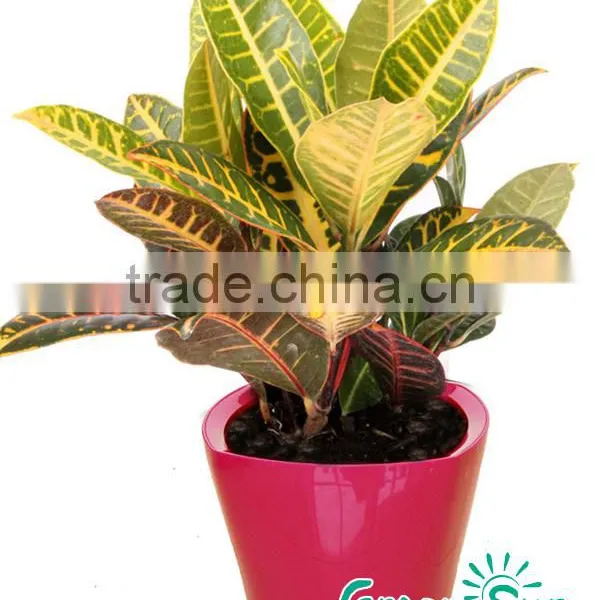 Pot Outdoor Flower Large,large Planters Vase photo-3