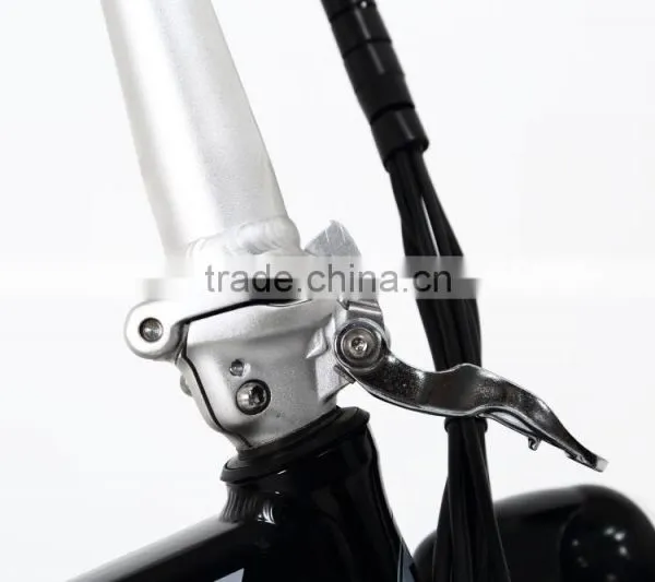 Hot Selling Cheap Electric Bike Mini Folding Electric Bike With Hiddden Battery photo-4