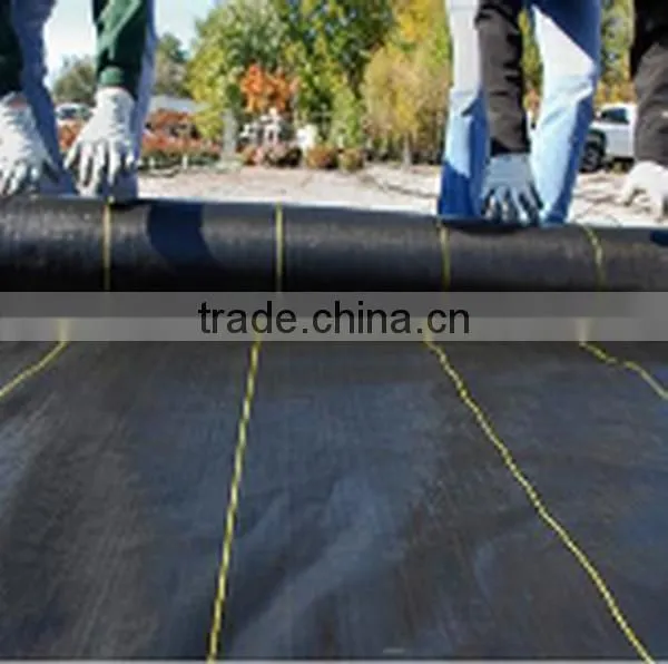 Unterbodengewebe Ground Cover Mat Weed Mat photo-2