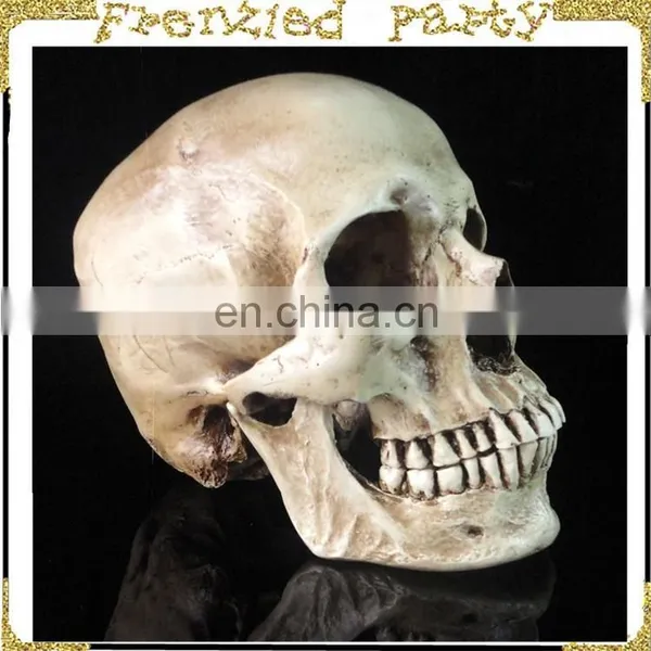 New Arrival Simulation Halloween Decorative Skull FGHS-0005 photo-3
