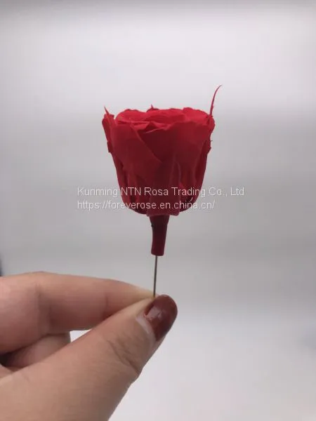 A Grade Everlasting Fresh Flower Decoration Rose Preserved Rose Head photo-5