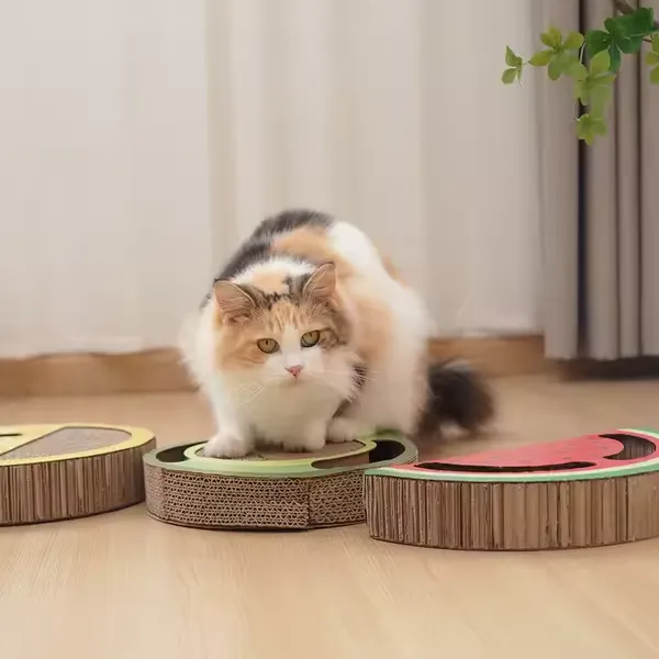 Meow Love Fruit Shape Pattern Corrugated Cat Scraper Cardboard With Toy Exercise Break photo-4