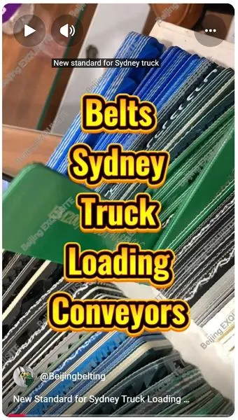 Diamond Blue PVC Conveyor Belt 3mm photo-4