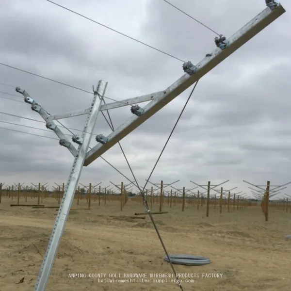 Table Grape Trellising Galvanized Steel Open Gable Y or V Shaped Trellis Agriculture Grapes Open Gable BOLI