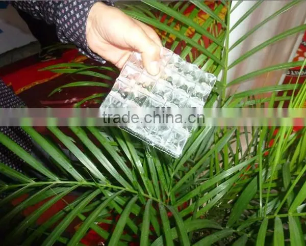 LangTuo/OEM Commercial Upright Ice Machine photo-2