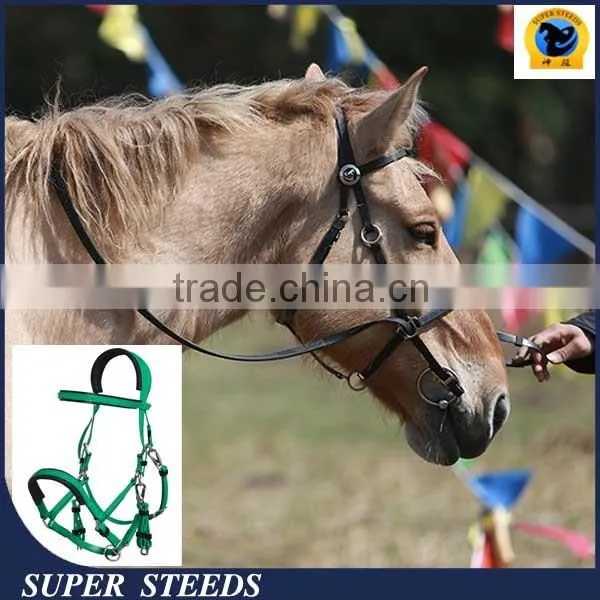 Fantastic Saddlery Horse Riding Bridle