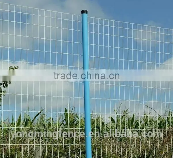 PVC Coated Euro Fence Manufacturer photo-2