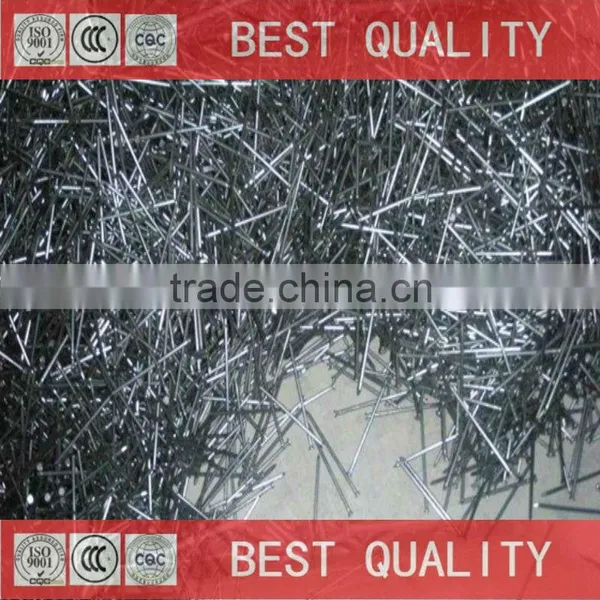 China Best Quality Common Nail