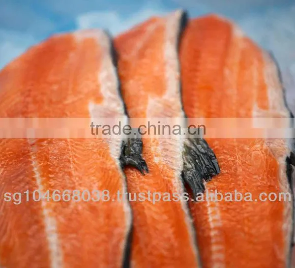 ATLANTIC SALMON FRAMES photo-4