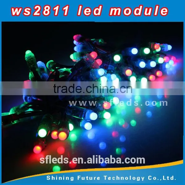 12V 12mm WS2811 Intelligent RGB Pixels IP68 Waterproof LED Light String photo-4