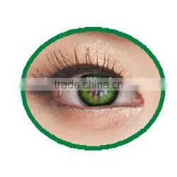 Wholesale I-CODI KOREA Color Contact Lens 1 Year Naty b Contact Lens photo-3
