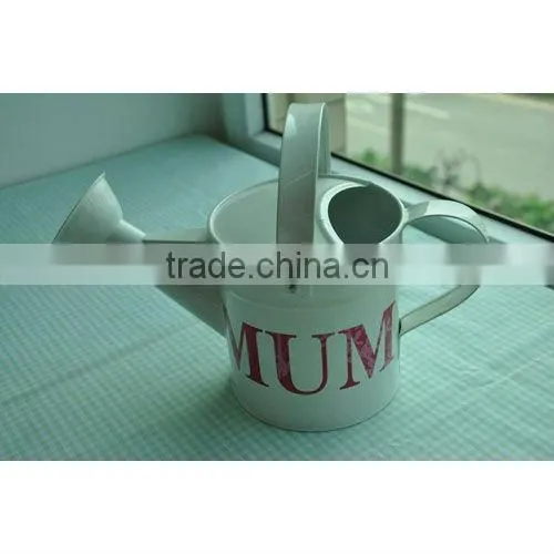 Large Metal Watering Can for Garden photo-5