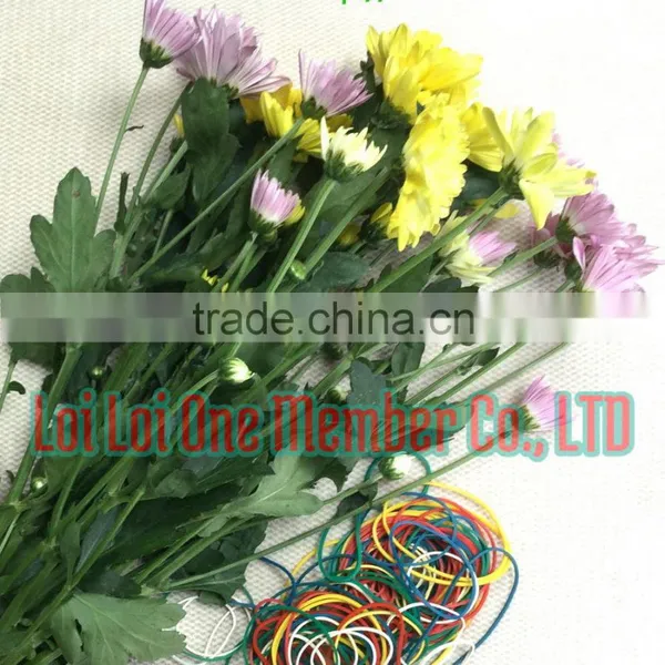 Rubber Band for Stationery - Money - Vegetables - Household photo-6