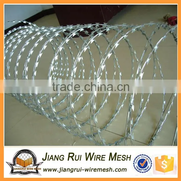Low Price Concertina Hot Dipped Galvanized Razor Barbed Wire photo-6