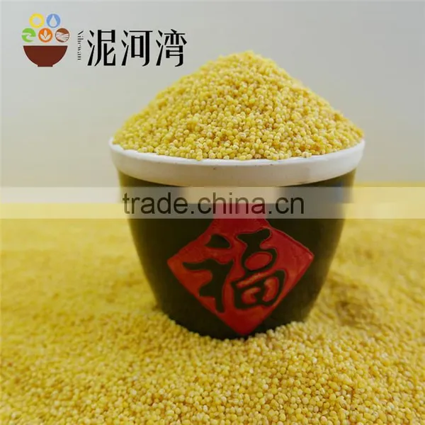 Organic Yellow Millet Bulk and Vacuum Packing Export Grade 2016 Crop photo-2