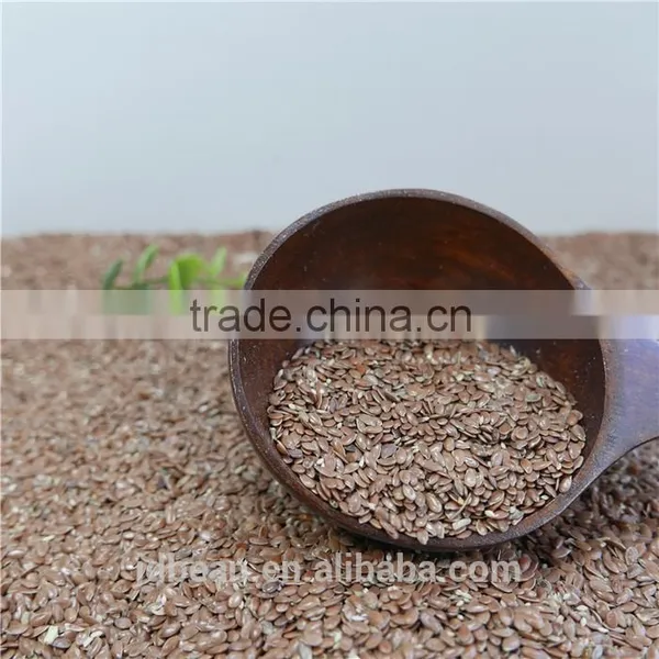 High Quality Hemp Seeds for Bird photo-5
