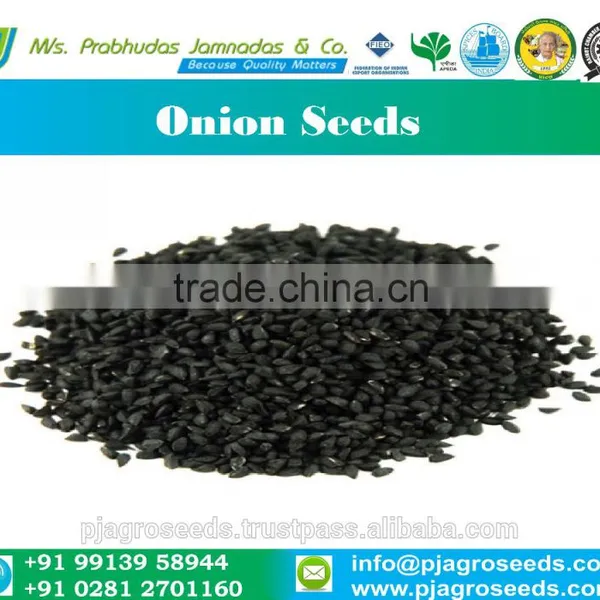 Hybrid Onion Seeds