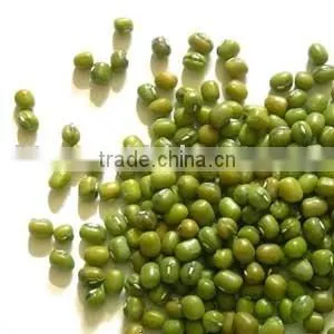 Green Mung Bean