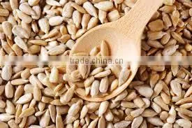 Sunflower Kernels Manufacturer From China photo-2