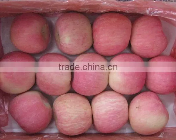 2016 New Crop Yantai Fresh Fuji Apple With 4kg Carton 10kg Carton 18kg Carton photo-4
