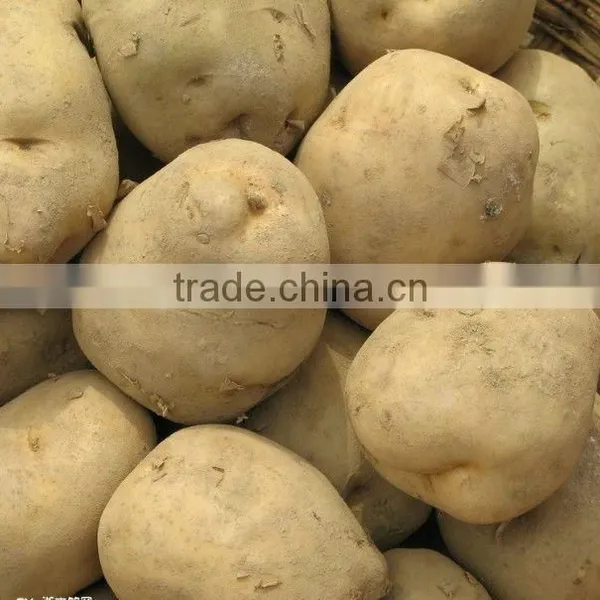 Fresh Potato
