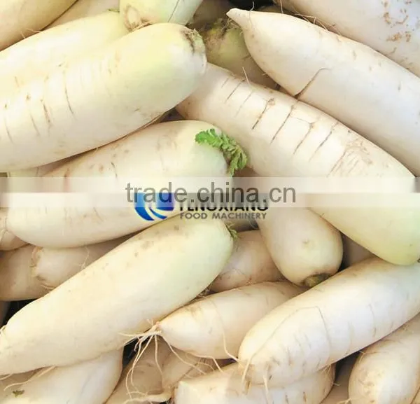 GL-380 Commercial Potato and Ginger Washer,vegetable Washing and Peeling Machine photo-4