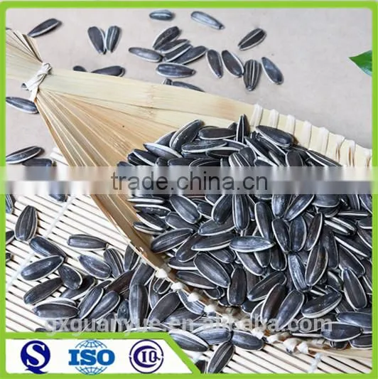 2016 New Crop Sunflower Seeds 601