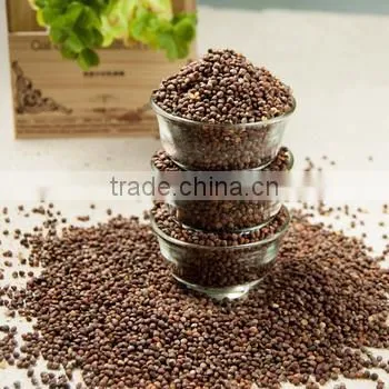 100% Natural Organic Perilla Seed Oil From China Manufacturer photo-4