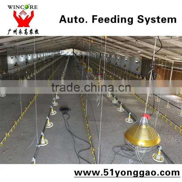 Automatic Poultry House Animal Feeding Line for Broiler Chicken Poultry Equipment in Animal Feeding System photo-5