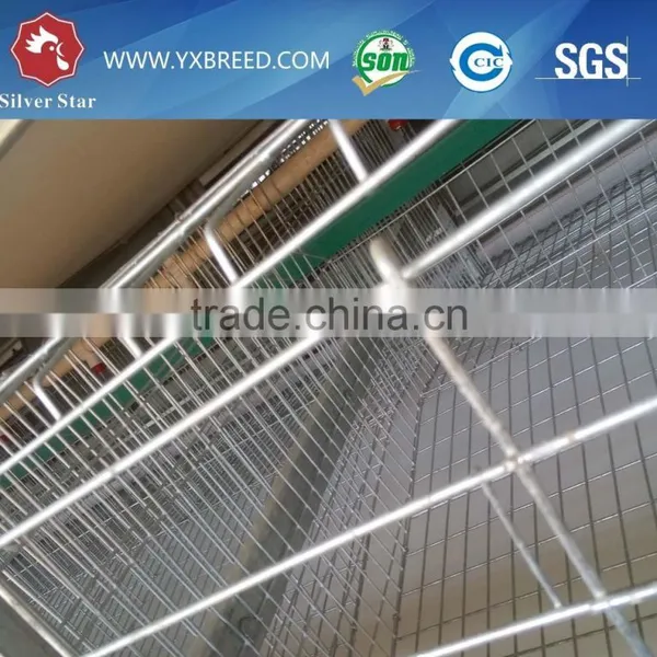 Chicken Breeding Cage for Poultry Farm photo-6