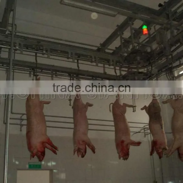 High Automatic Pig Slaughterhouse photo-3