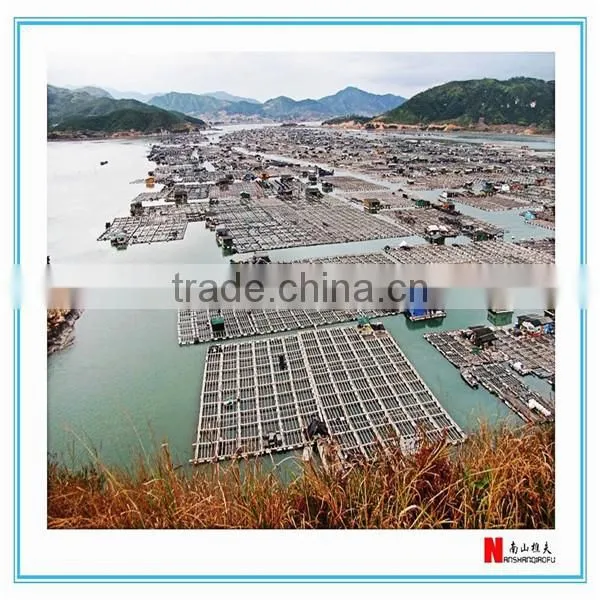 Agriculture Popular Super Low Price China Sisal Rope photo-5