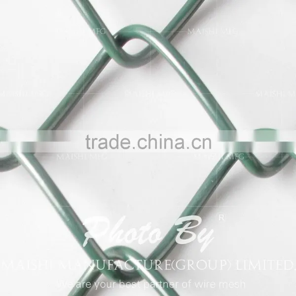 Chicken Chain Link Fence photo-5
