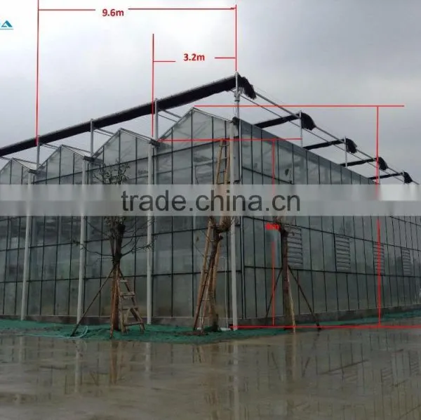 Polycarbonate Covered Greenhouse For Ecnomic Use/Agriculture Planting Greenhouse photo-4