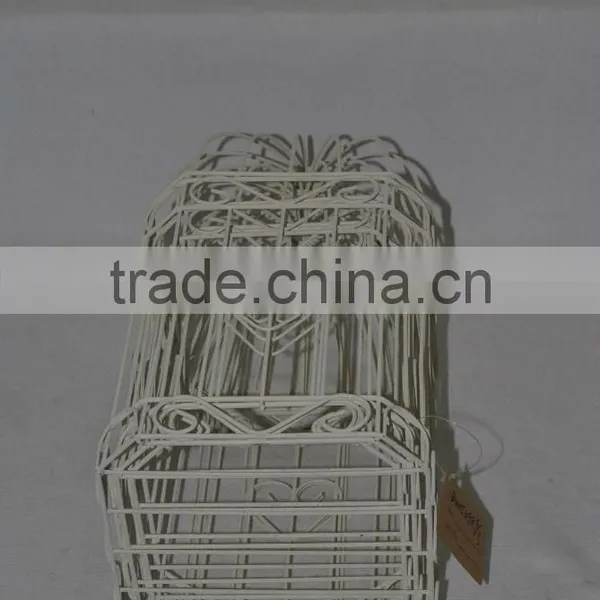 Big White Birdcage photo-3
