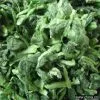 Sell FD Spinach
